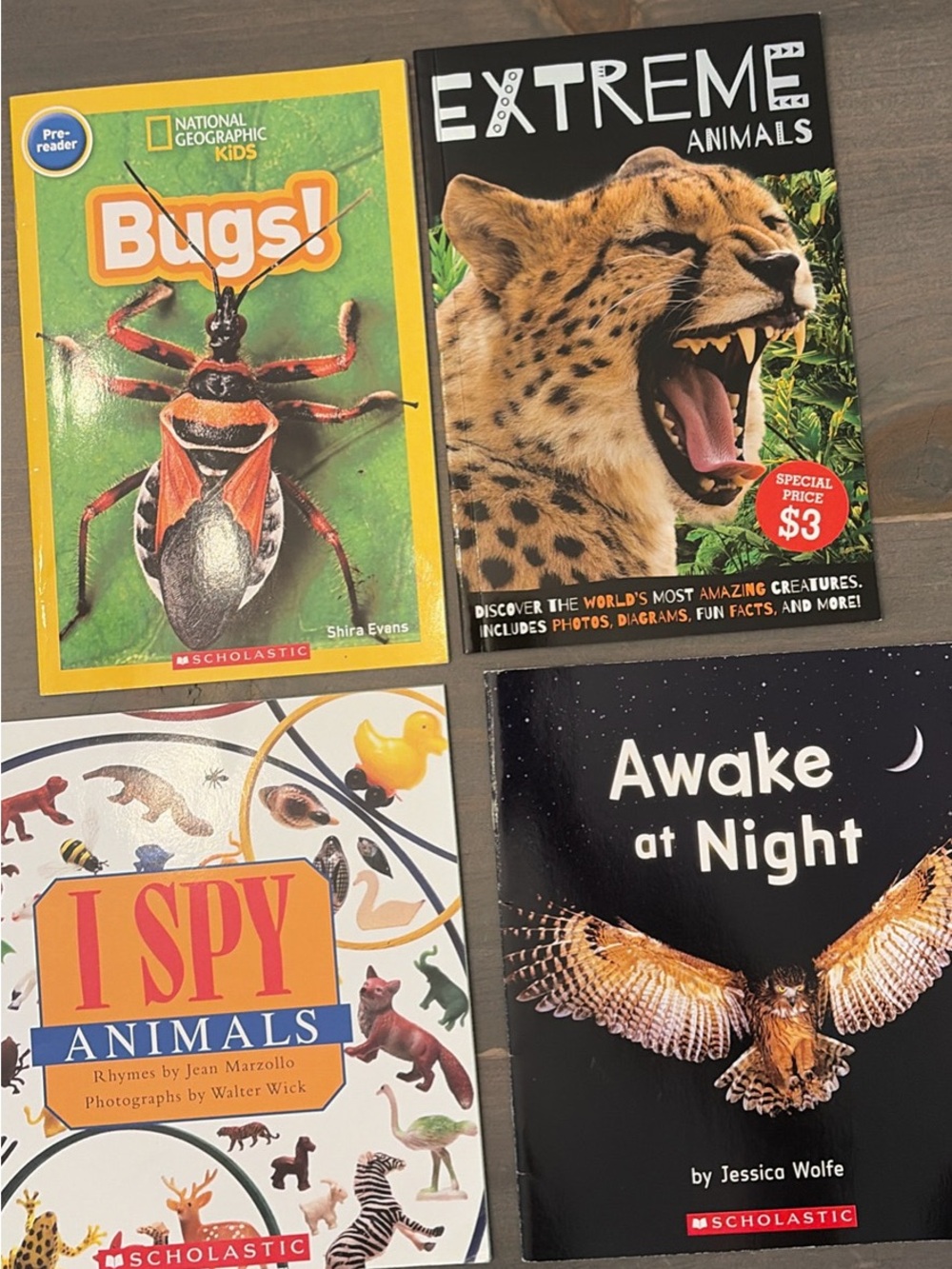 Set of 4 animal books